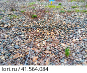 Retaining net on the slope. The net keeps the pebble from scattering. Стоковое фото, фотограф Леонид Еремейчук / Фотобанк Лори