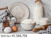 Fresh dairy products, milk, cottage cheese, eggs in stylish ceramic dishes on a gray background. The concept of natural, dietary nutrition. Useful products. Стоковое фото, фотограф Photojuli / Фотобанк Лори