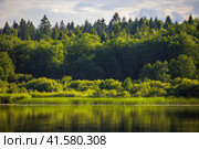 Лес у озера. Красивый летний пейзаж. Стоковое фото, фотограф Андрей Степанов / Фотобанк Лори