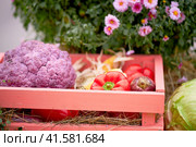Harvest festival with autumn pumpkins and vegetables. Sale of agricultural crops on the outdoor market after the holiday. Стоковое фото, фотограф Андрей Журавлев / Фотобанк Лори