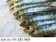 Pickled pilchards on wooden background with copyspace. Стоковое фото, фотограф Яков Филимонов / Фотобанк Лори