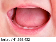 Teeth are teething at the infant baby, mouth close-up. Tongue and lower teeth incisors in a child at the age of six months. Стоковое фото, фотограф Андрей Журавлев / Фотобанк Лори