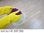 House cleaning concept. woman wiping up the floor. woman in protective gloves wiping up the floor. cleaning floor in house with purple rag. Стоковое фото, фотограф Константин Григорьев / Фотобанк Лори