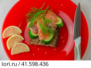 Sandwich with trout, wholegrain bread, greens, and salad laying on a red plate with kitchen knife. Стоковое фото, фотограф Воловодов Владимир / Фотобанк Лори