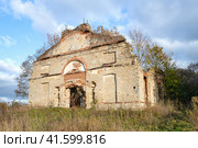 Руины старинной лютеранской кирхи Святых Апостолов Петра и Павла (1798г.) в деревне Малые Горки солнечным октябрьским днем.  Ленинградская область (2023 год). Стоковое фото, фотограф Виктор Карасев / Фотобанк Лори