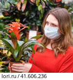 Adult woman florist in face mask buys bromelia houseplants for her new flower garden. Home gardening hobbies and growing flowers during corona virus isolation. Стоковое фото, фотограф Андрей Журавлев / Фотобанк Лори