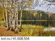 Озеро Светлояр где затонул град Китеж. Нижегородская область. Стоковое фото, фотограф Елена Ковалева / Фотобанк Лори