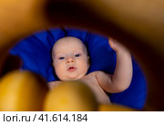 a baby on a blue background with a wooden rattle. Стоковое фото, фотограф Anastasia Kayander / Фотобанк Лори