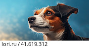 A young small dog looks away with an intelligent look. Place for the inscription. Generated by AI. Стоковое AI-изображение, AI-художник Ярославский Максим / Фотобанк Лори