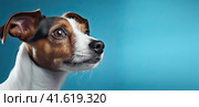A young small dog looks away with an intelligent look. Place for the inscription. Generated by AI. Стоковое AI-изображение, AI-художник Ярославский Максим / Фотобанк Лори
