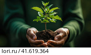 Plant protection in women's hands. Taking care of the environment. Generated by AI. Стоковое AI-изображение, AI-художник Ярославский Максим / Фотобанк Лори