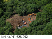 Construction equipment works in the forest among the trees - July 10, 2020, Moscow, Russia. Редакционное фото, фотограф Андрей Журавлев / Фотобанк Лори
