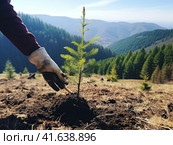 Environmental volunteers plant seedlings of spruce trees on the slopes of the mountains. Generated by AI. Стоковое AI-изображение, AI-художник Ярославский Максим / Фотобанк Лори