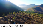 Environmental volunteers plant seedlings of spruce trees on the slopes of the mountains. Generated by AI. Стоковое AI-изображение, AI-художник Ярославский Максим / Фотобанк Лори