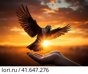 A man and a pigeon in flight against the background of the setting sun.Generated by AI. Стоковое AI-изображение, AI-художник Ярославский Максим / Фотобанк Лори