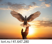 A man and a pigeon in flight against the background of the setting sun.Generated by AI. Стоковое AI-изображение, AI-художник Ярославский Максим / Фотобанк Лори