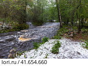 Volchya river landscape on a cloudy autumn day with first snow on green grass. Стоковое фото, фотограф EugeneSergeev / Фотобанк Лори