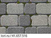 Industrial building background of paving slabs with overgrown with moss in the cracks. Texturing background. Стоковое фото, фотограф Леонид Еремейчук / Фотобанк Лори