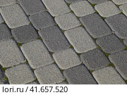 Industrial building background of paving slabs with overgrown with moss in the cracks. Texturing background. Стоковое фото, фотограф Леонид Еремейчук / Фотобанк Лори