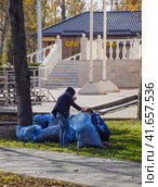 The workers of the municipality collect leaves in the park. Women social workers removed the foliage. (2016 год). Редакционное фото, фотограф Леонид Еремейчук / Фотобанк Лори