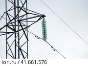 Glass prefabricated high voltage insulators on poles high-voltage power lines. Electrical industry. Стоковое фото, фотограф Леонид Еремейчук / Фотобанк Лори