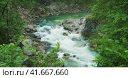Mountain river with clear fresh water flows in summer forest. The beauty of nature. The wild brook l. Стоковое видео, видеограф Igor Tichonow / Фотобанк Лори