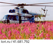 Mi-8 helicopter on the field of flowering tea willow. Редакционное фото, фотограф Леонид Еремейчук / Фотобанк Лори