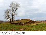 Гольшанский замок, руины замковой стены (2023 год). Редакционное фото, фотограф Ирина Яровая / Фотобанк Лори