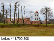 Гольшанский замок, Беларусь (2023 год). Редакционное фото, фотограф Ирина Яровая / Фотобанк Лори
