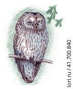 An owl sits quietly on a branch in the forest. The bird squinted and looks with one eye. Graphic drawing with an owl. Illustration. Стоковая иллюстрация, иллюстратор Бузмакова Светлана / Фотобанк Лори