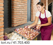 Girl seller of garden stuff store is replenishing showcase with vegetables, puts onion on showcase. Стоковое фото, фотограф Яков Филимонов / Фотобанк Лори