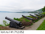 Батарея Максимова в Петропавловске-Камчатском (2015 год). Редакционное фото, фотограф Сергей Веселовский / Фотобанк Лори