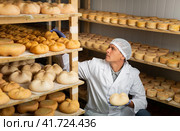 Cheesemaker checking aging process of cheese in maturing chamber. Стоковое фото, фотограф Яков Филимонов / Фотобанк Лори