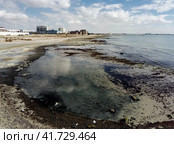 Shallow shore of the Caspian Sea. Стоковое фото, фотограф Александр Малышев / Фотобанк Лори