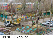 Волгоград, Тракторозаводский район, Россия. Рабочие на специальном автомобиле автовышке проводят осеннюю обрезку деревьев во дворе жилого дома, городской пейзаж (2023 год). Редакционное фото, фотограф Андрей Цыганков / Фотобанк Лори