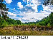 Дрон завис над опушкой среди леса. Стоковое фото, фотограф Илья Старков / Фотобанк Лори