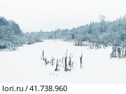 Snow covered marsh land. Horizontal image for winter stories. Стоковое фото, фотограф Катерина Ковалева / Фотобанк Лори