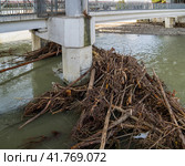 Затор из топляка и мусора под пешеходным Хостинским мостом, Сочи (2023 год). Стоковое фото, фотограф Вячеслав Палес / Фотобанк Лори