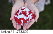 Valentine's Day Conception. Confetti of hearts in the hands of a girl. Стоковое видео, видеограф Mikhail Davidovich / Фотобанк Лори