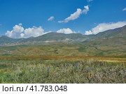 Suusamyr Valley (2023 год). Стоковое фото, фотограф Александр Fanfo / Фотобанк Лори