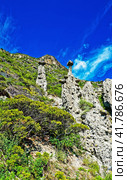 Каменные грибы. Урочище Аккурум (Ак-Корум). Горный Алтай. Стоковое фото, фотограф Макаров Алексей / Фотобанк Лори