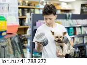 Teenager choosing dry dog food for Yorkshire terrier in pet store. Стоковое фото, фотограф Яков Филимонов / Фотобанк Лори