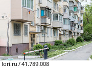 Двор старой панельной хрущевки летом. Россия, Владивосток (2022 год). Стоковое фото, фотограф Денис Станиславович Кабелев / Фотобанк Лори