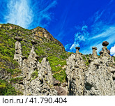 Каменные грибы. Урочище Аккурум (Ак-Корум). Горный Алтай. Стоковое фото, фотограф Макаров Алексей / Фотобанк Лори