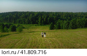 A young man and a girl in ethnic outfits are running in the early morning through a green field, holding hands. The girl is wearing a floral wreath and a white dress, the young man is wearing a linen shirt. In the background is a forest and blue sky. The girl has long black hair developing. Shot from a drone, the camera rises upward (2023 год). Редакционное видео, видеограф Даниил Хабаров / Фотобанк Лори