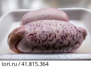 Bull testicles on a white plastic tray. Стоковое фото, фотограф Iva Noel / Фотобанк Лори