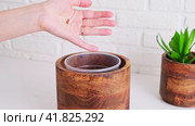 Woman gardener pours coconut chips for planting a houseplant in a pot, home interior. Female hands pour coconut flakes into a flower pot to fertilize the soil, white brick wall background. Стоковое видео, видеограф Андрей Журавлев / Фотобанк Лори