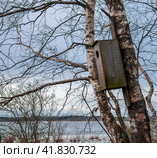 Гнездовой ящик для гнездования уток на затопленном берегу лесного озера. Стоковое фото, фотограф Олег Елагин / Фотобанк Лори