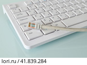 Internet wire lies on a white computer keyboard. Стоковое фото, фотограф Володина Ольга / Фотобанк Лори