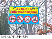 Табличка информатор «Ведется видионаблюдение». Запрет выгула собак.  Запрет  передвижения на велосипедах. Запрет роликовых коньков и скейтбордов. (2023 год). Редакционное фото, фотограф Елена Бобкова / Фотобанк Лори